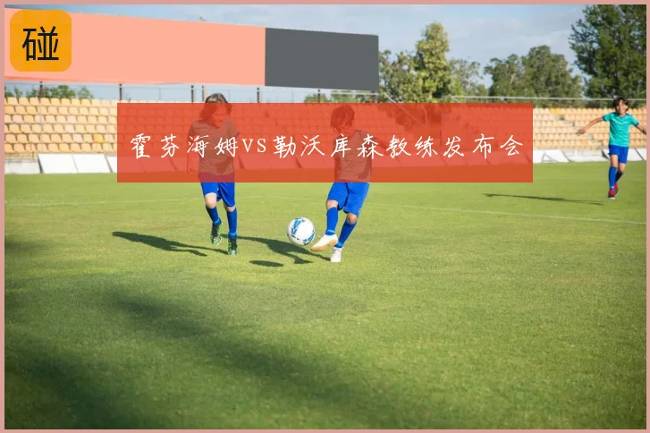 霍芬海姆vs勒沃库森教练发布会
